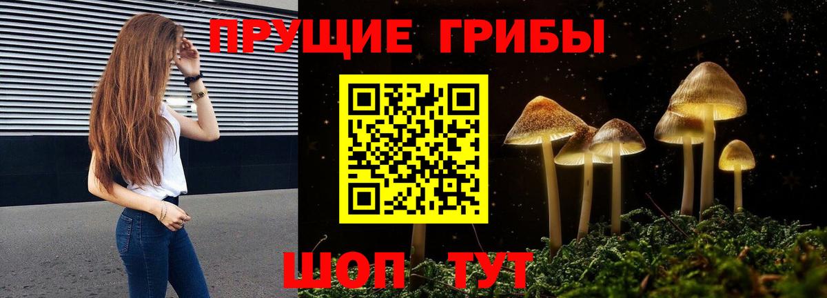 Псилоцибиновые грибы Psilocybine cubensis  Вход с VPN  Железноводск 