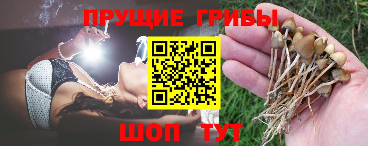 Псилоцибиновые грибы мухоморы Железноводск